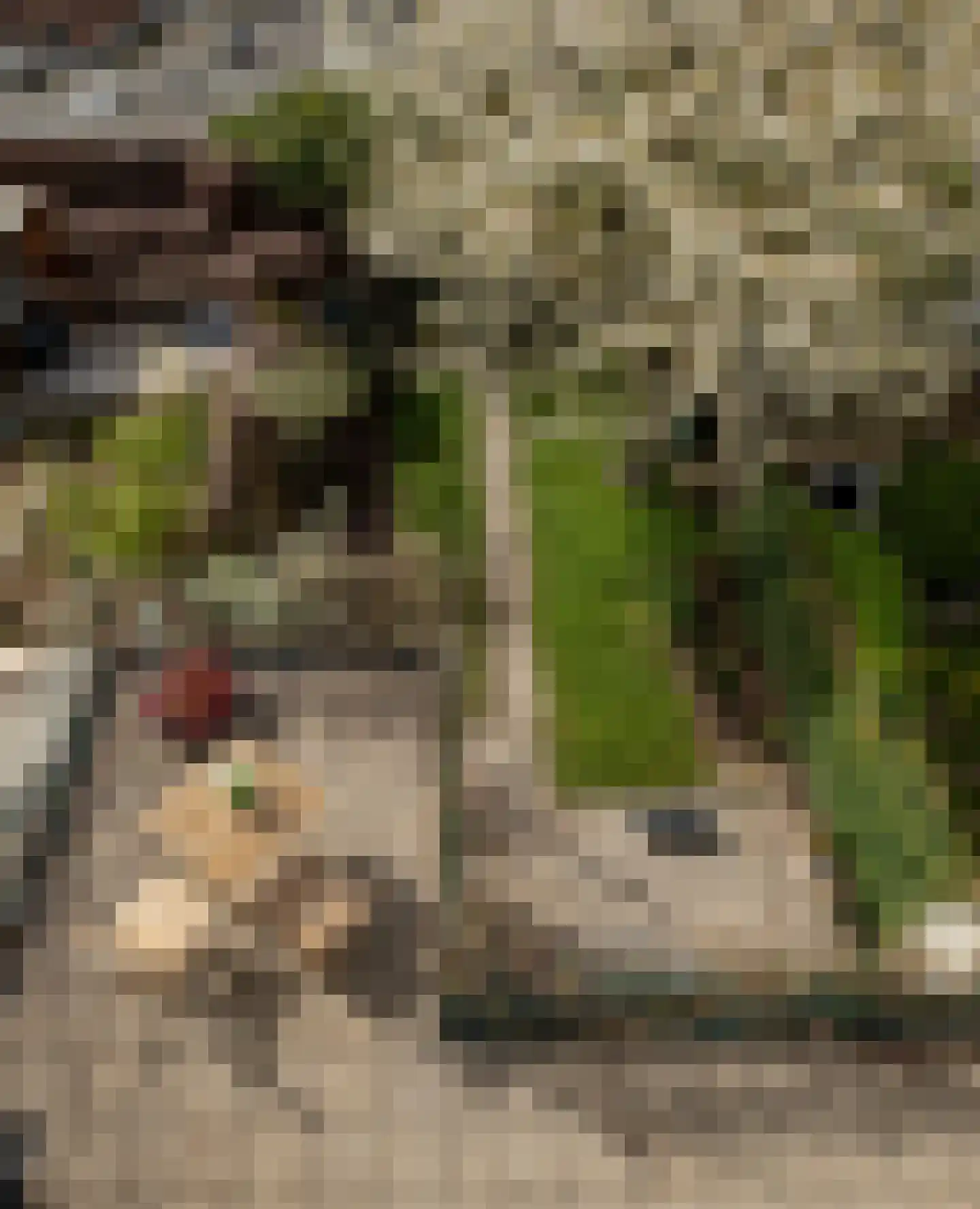 Groesbeeksedwarsweg 260 Nijmegen thumbnail 28
