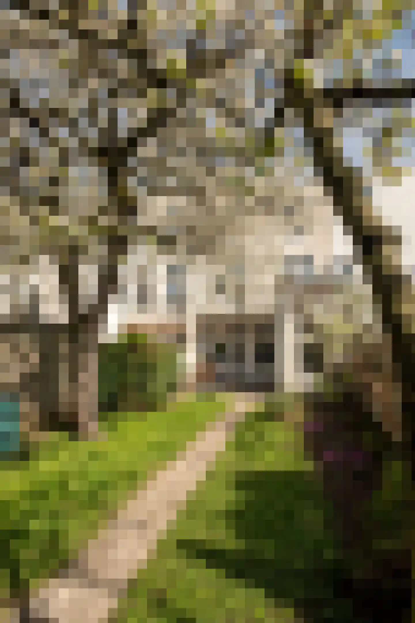 Groesbeeksedwarsweg 260 Nijmegen thumbnail 59