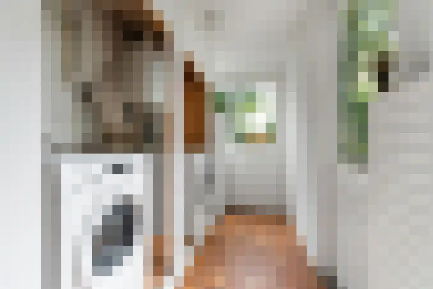 Groesbeeksedwarsweg 303 Nijmegen thumbnail 10