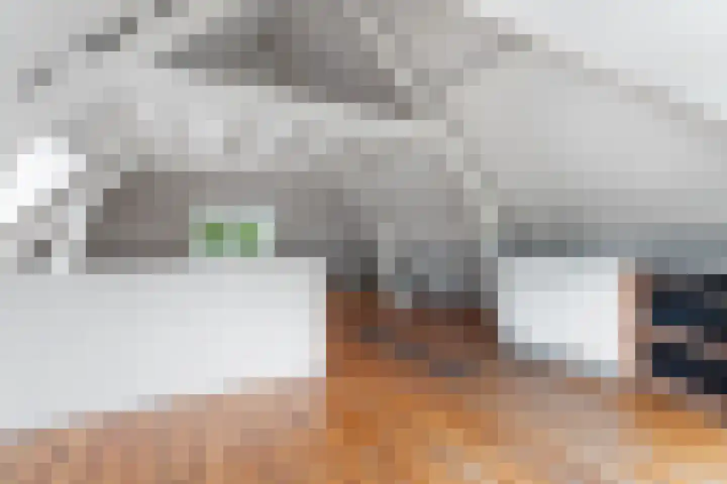 Groesbeeksedwarsweg 303 Nijmegen thumbnail 32