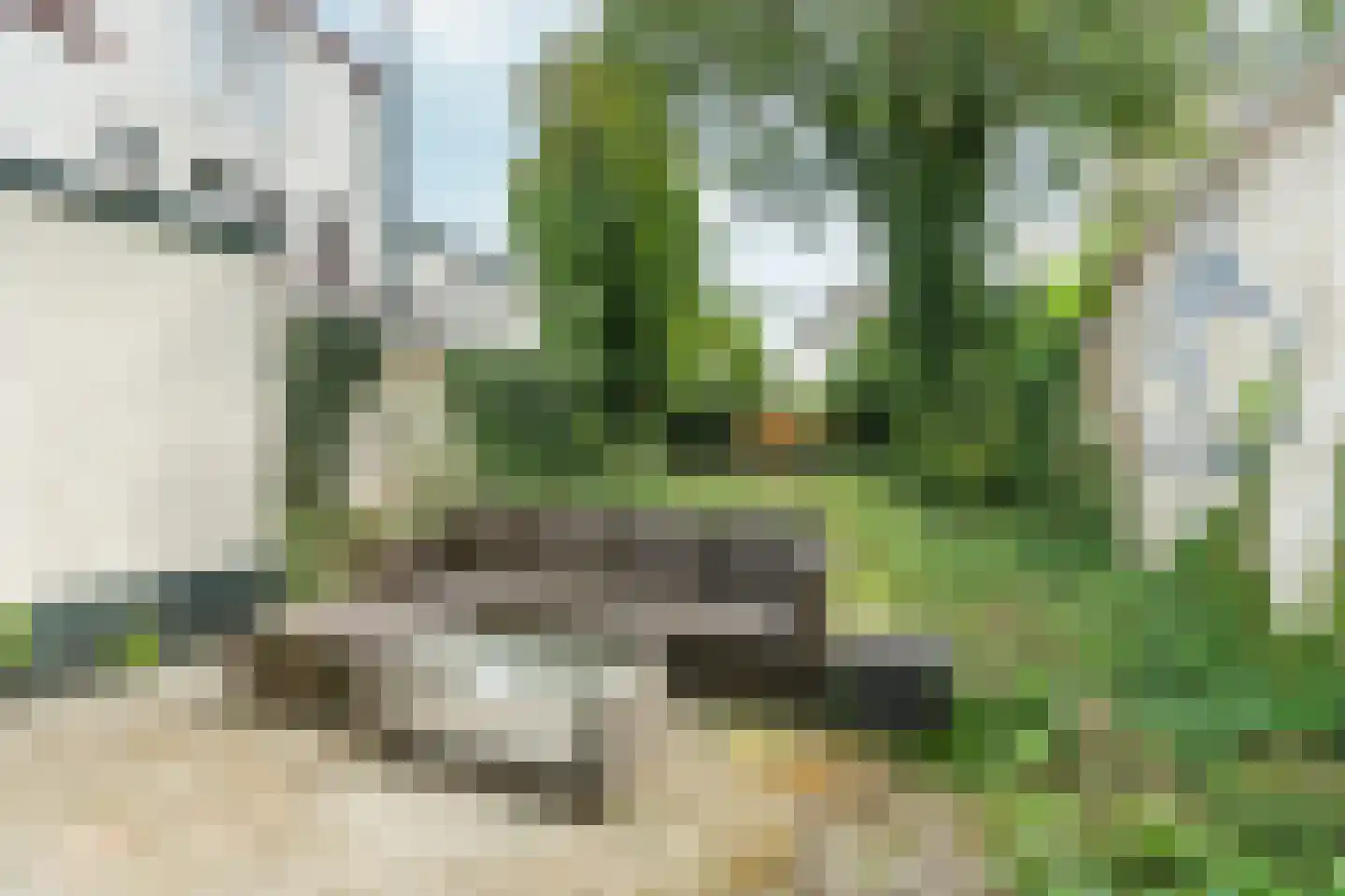 Groesbeeksedwarsweg 303 Nijmegen thumbnail 34