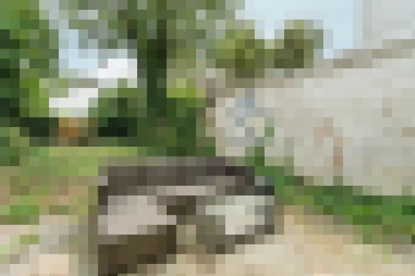 Groesbeeksedwarsweg 303 Nijmegen thumbnail 35