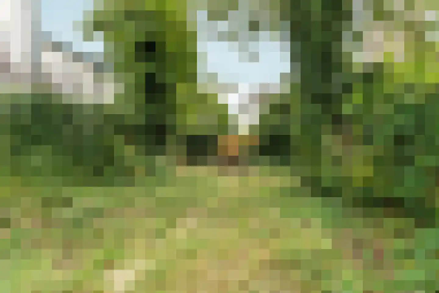 Groesbeeksedwarsweg 303 Nijmegen thumbnail 36