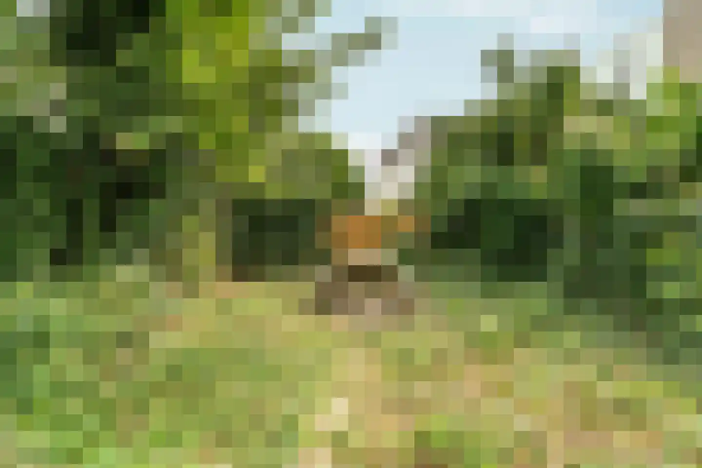 Groesbeeksedwarsweg 303 Nijmegen thumbnail 37