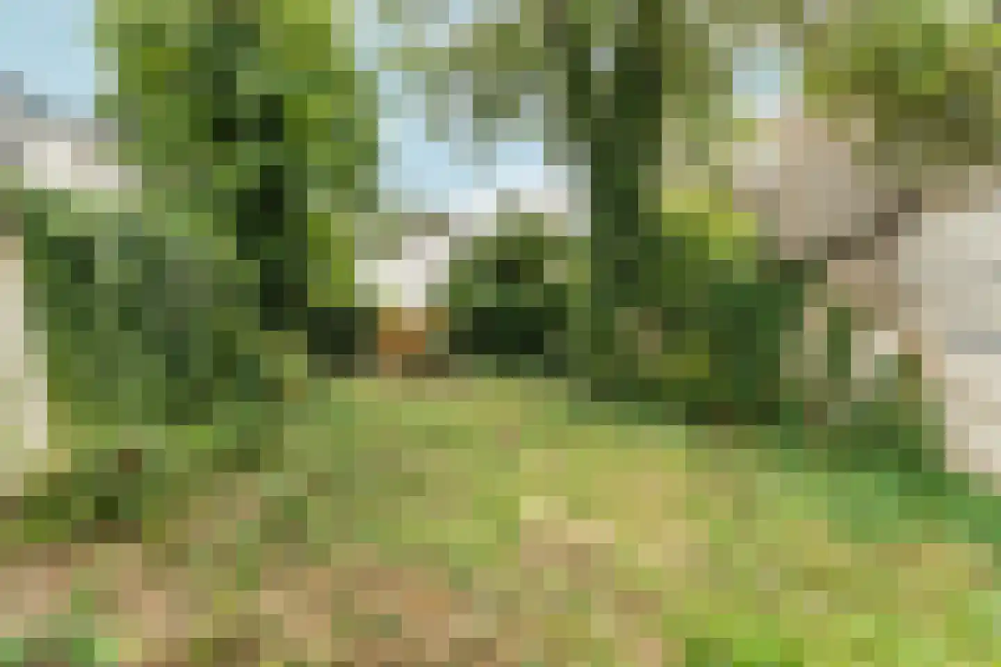 Groesbeeksedwarsweg 303 Nijmegen thumbnail 38