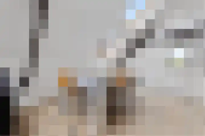 Groesbeeksedwarsweg 60 A Nijmegen thumbnail 10