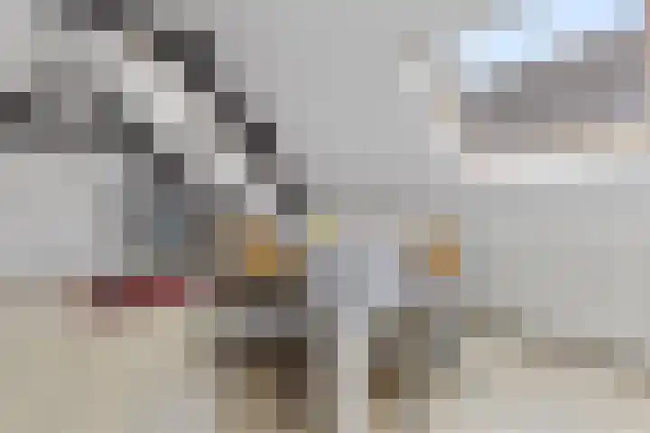 Groesbeeksedwarsweg 60 A Nijmegen thumbnail 11