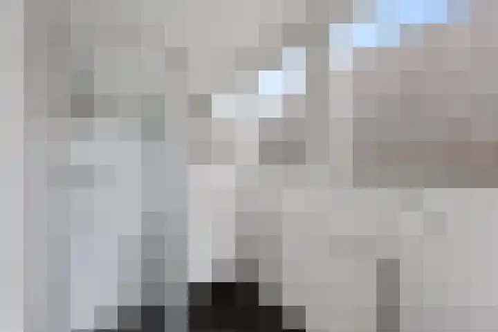 Groesbeeksedwarsweg 60 A Nijmegen thumbnail 16