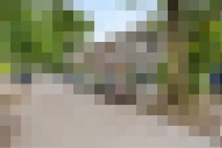 Groesbeeksedwarsweg 60 A Nijmegen thumbnail 23