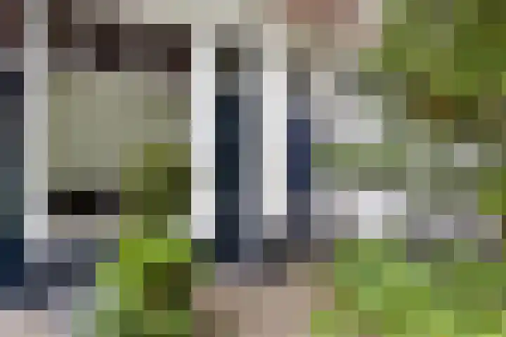 Groesbeeksedwarsweg 60 A Nijmegen thumbnail 27