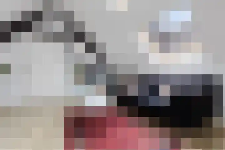 Groesbeeksedwarsweg 60 A Nijmegen thumbnail 5
