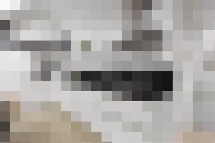 Groesbeeksedwarsweg 60 A Nijmegen thumbnail 7