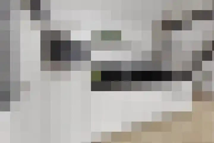 Groesbeeksedwarsweg 60 A Nijmegen thumbnail 8
