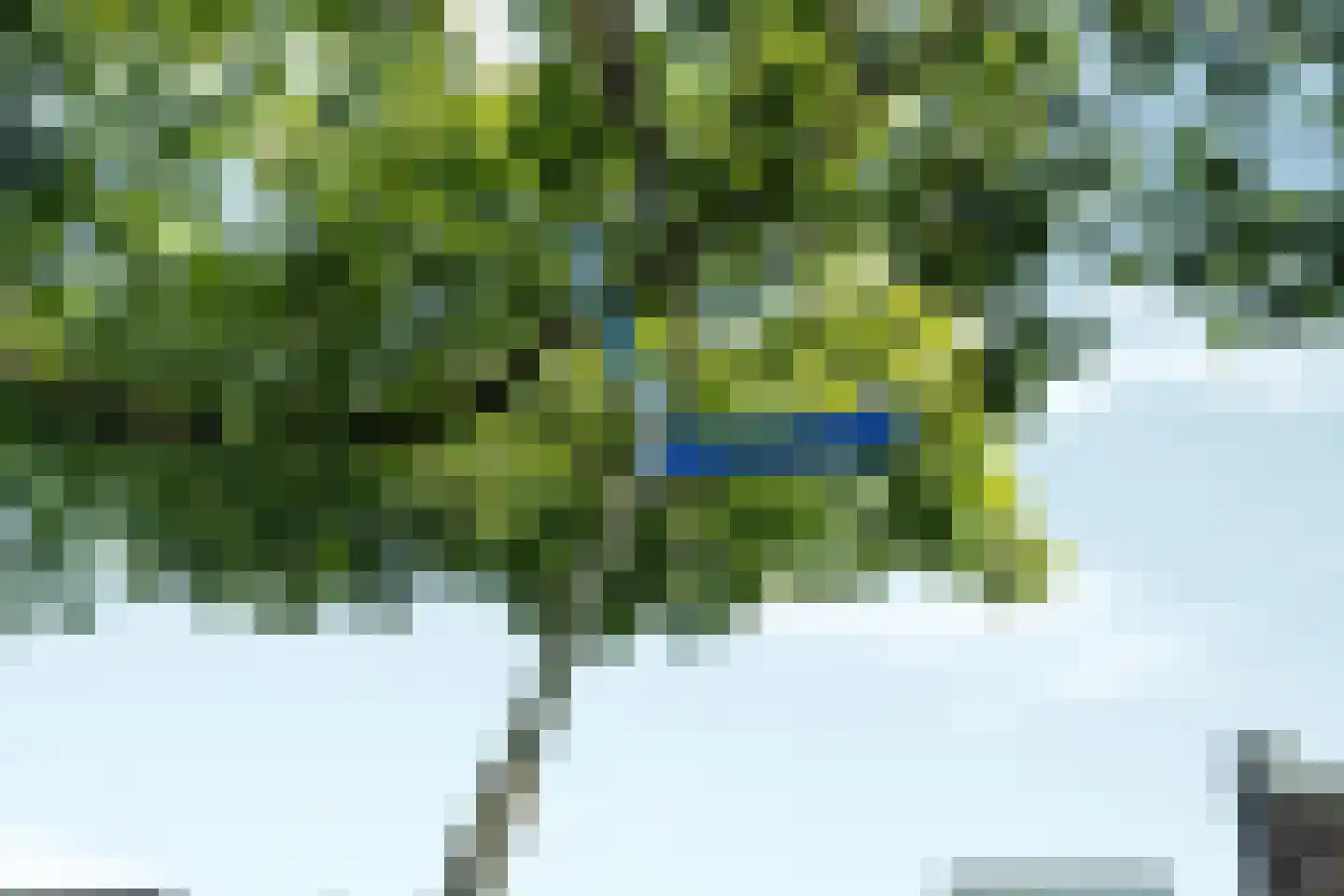 Groesbeeksedwarsweg 73 B Nijmegen thumbnail 23