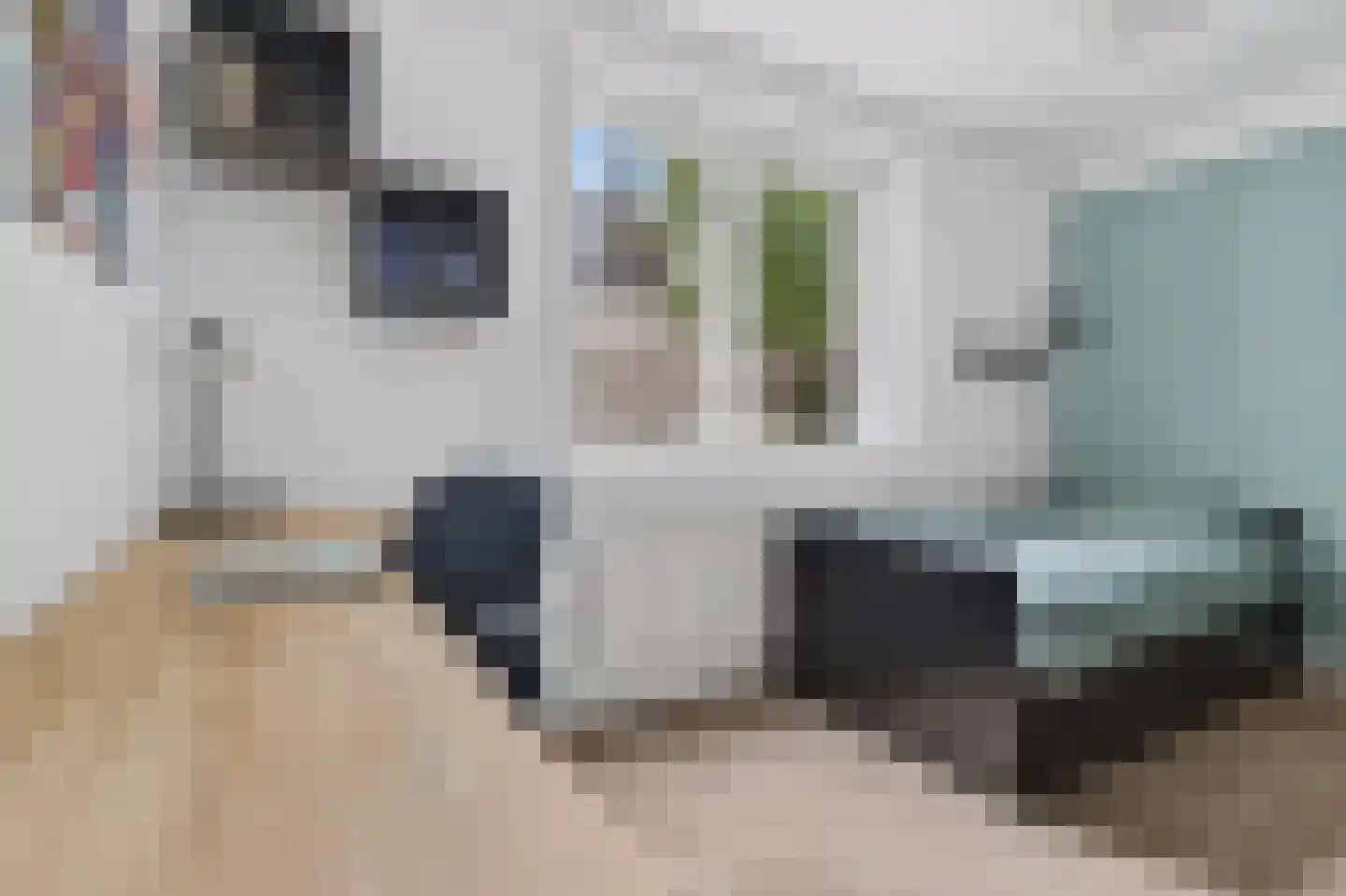 Groesbeeksedwarsweg 99 Nijmegen thumbnail 14