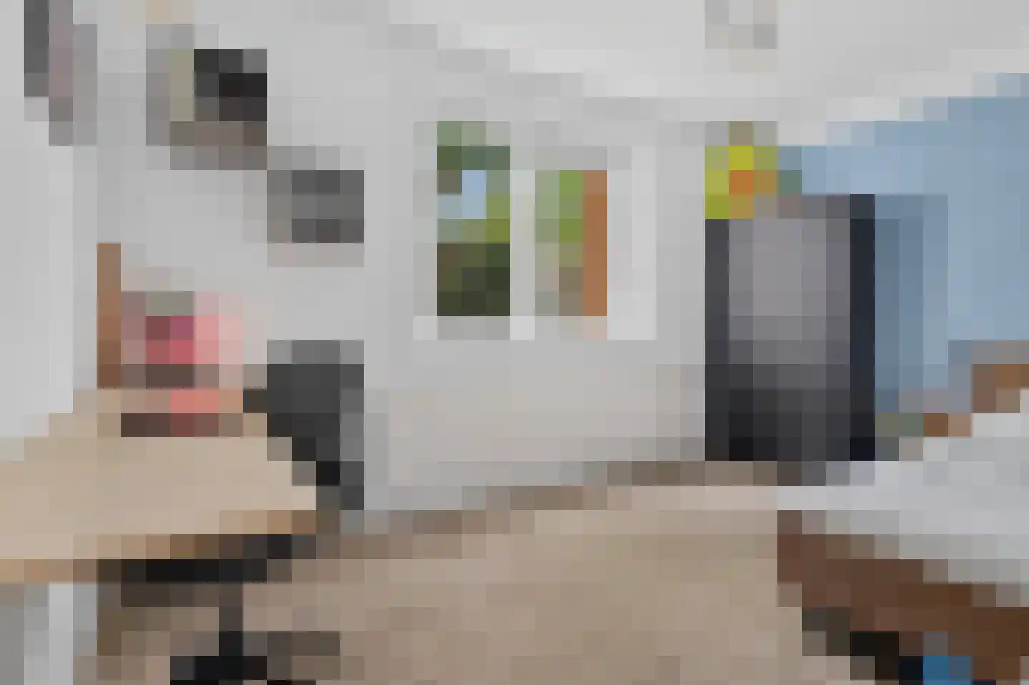 Groesbeeksedwarsweg 99 Nijmegen thumbnail 17