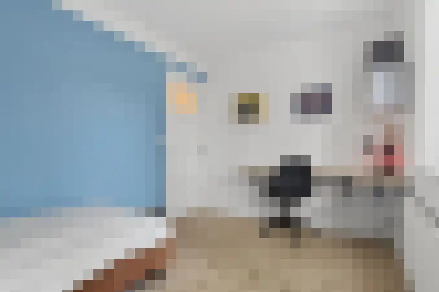 Groesbeeksedwarsweg 99 Nijmegen thumbnail 19
