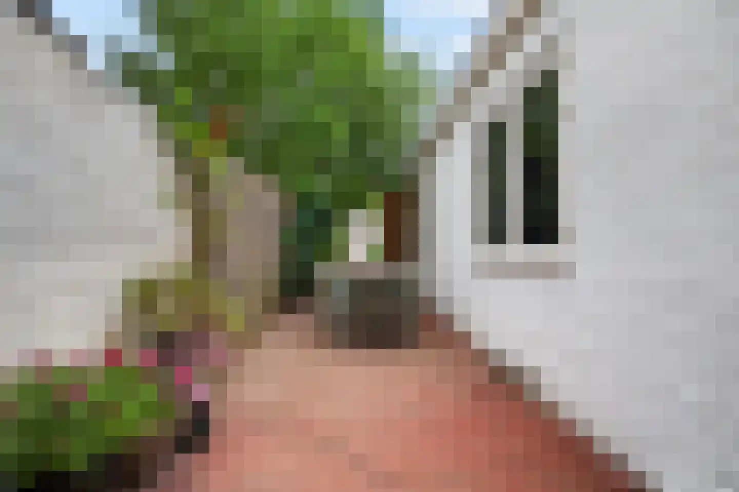 Groesbeeksedwarsweg 99 Nijmegen thumbnail 24