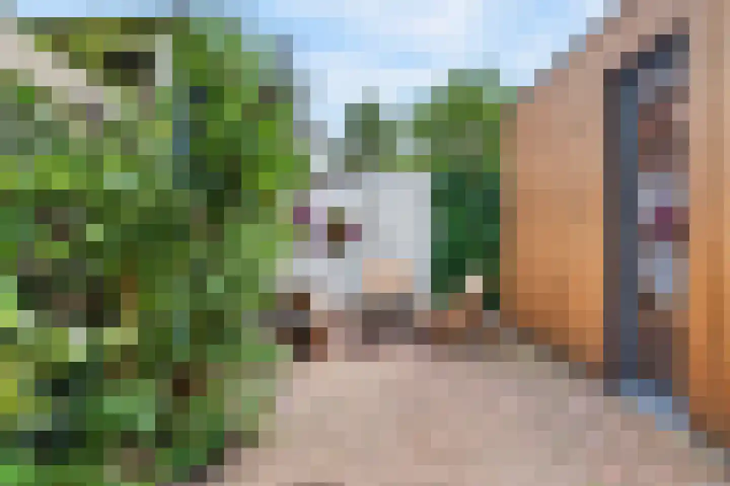 Groesbeeksedwarsweg 99 Nijmegen thumbnail 27