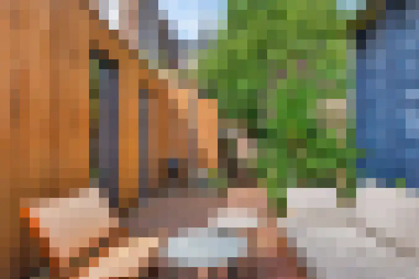 Groesbeeksedwarsweg 99 Nijmegen thumbnail 29