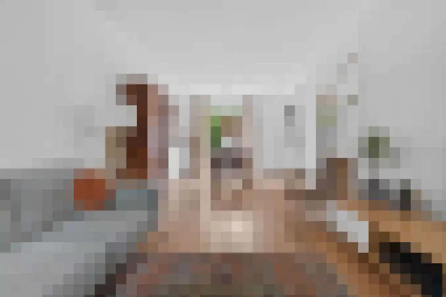 Groesbeeksedwarsweg 99 Nijmegen thumbnail 4
