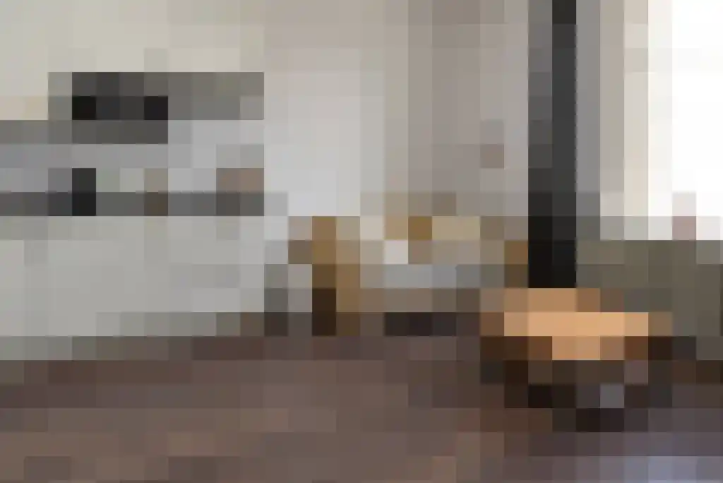 Groesbeekseweg 103 D Nijmegen thumbnail 4