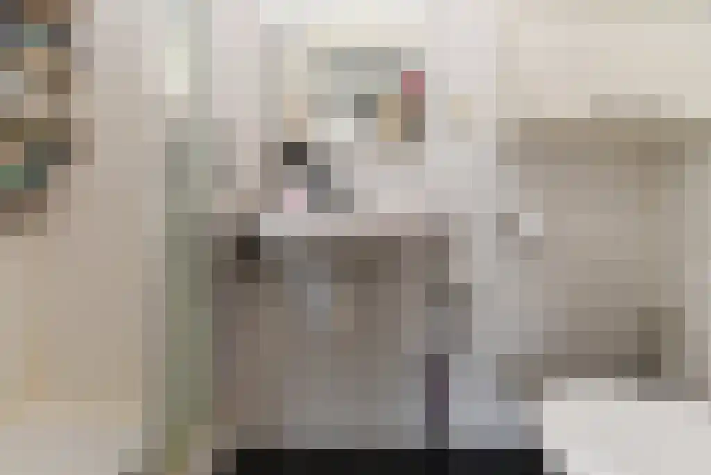 Groesbeekseweg 103 D Nijmegen thumbnail 8