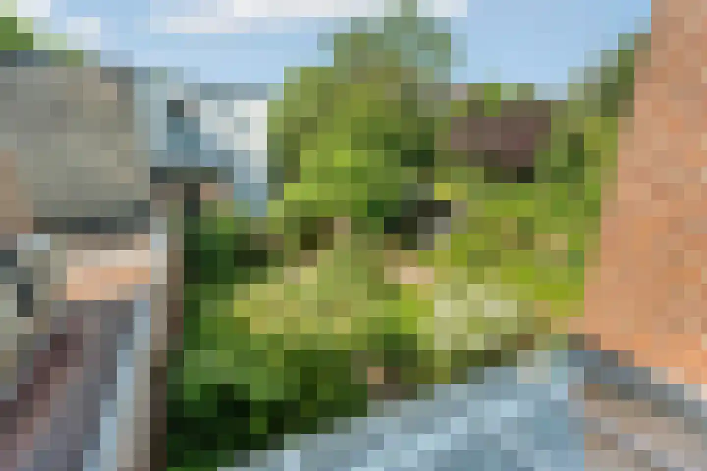 Groesbeekseweg 118 Nijmegen thumbnail 46
