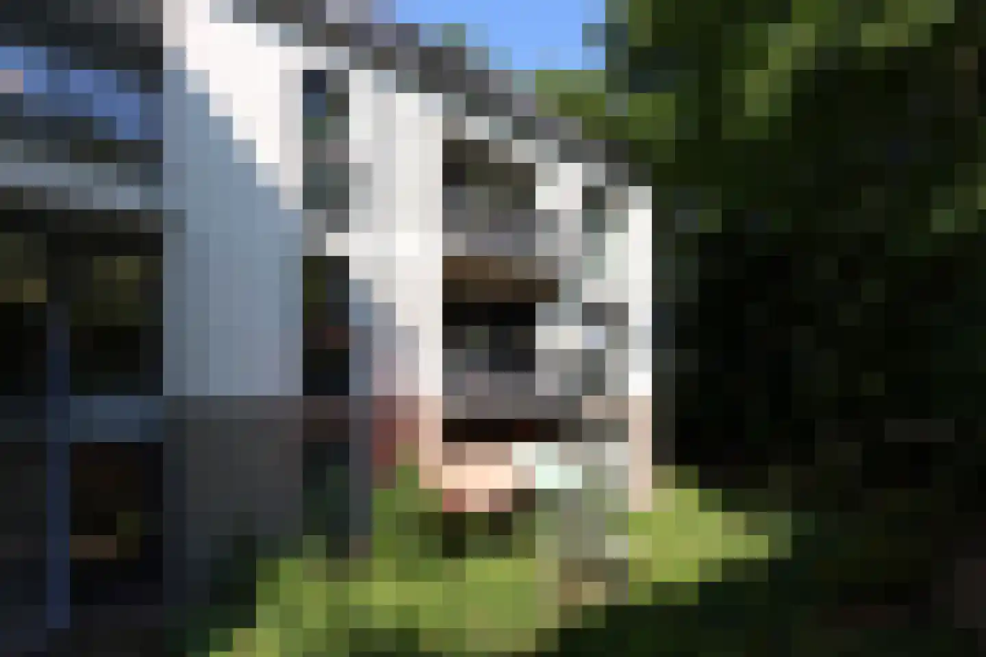 Groesbeekseweg 19 F Mook thumbnail 12
