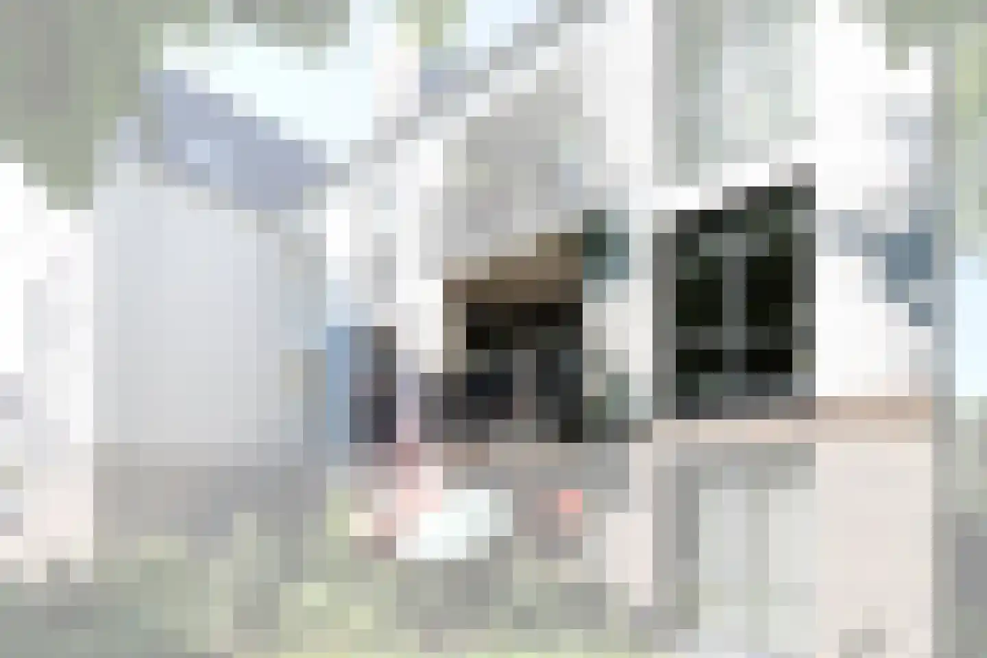 Groesbeekseweg 19 F Mook thumbnail 8