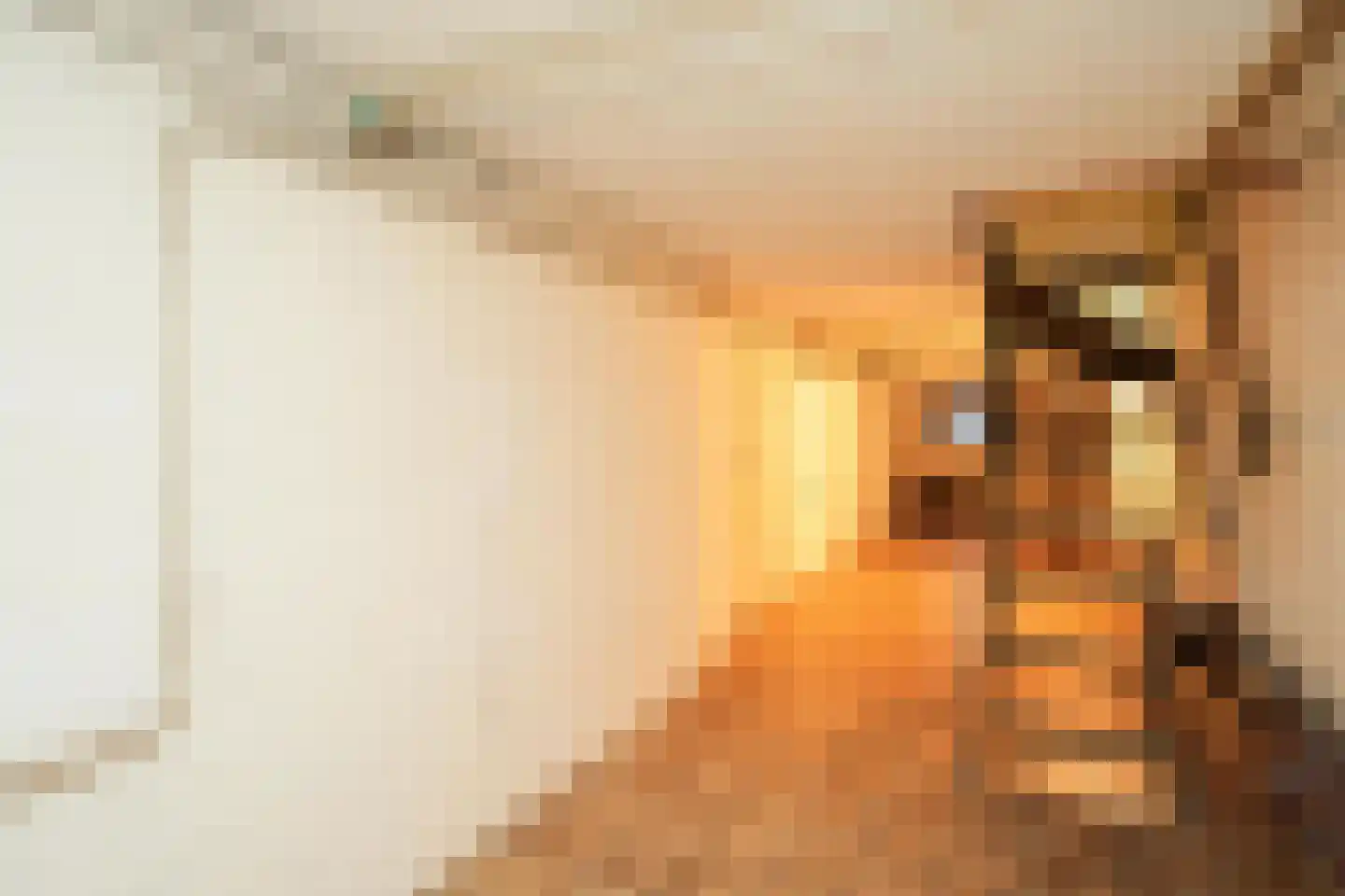 Groesbeekseweg 194 Nijmegen thumbnail 29