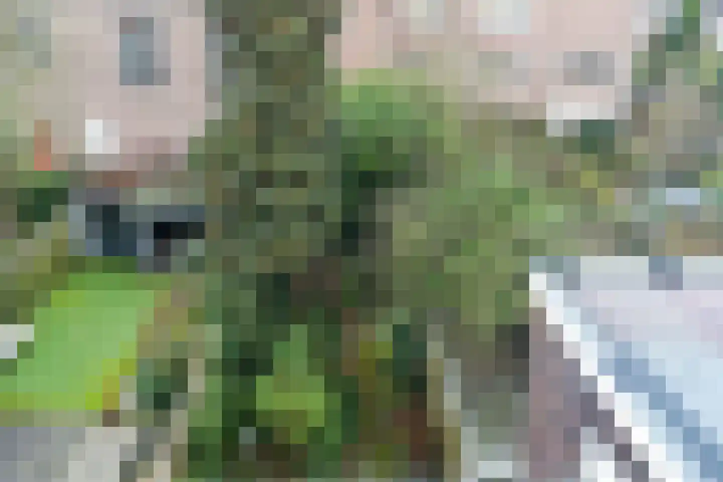 Groesbeekseweg 194 Nijmegen thumbnail 34