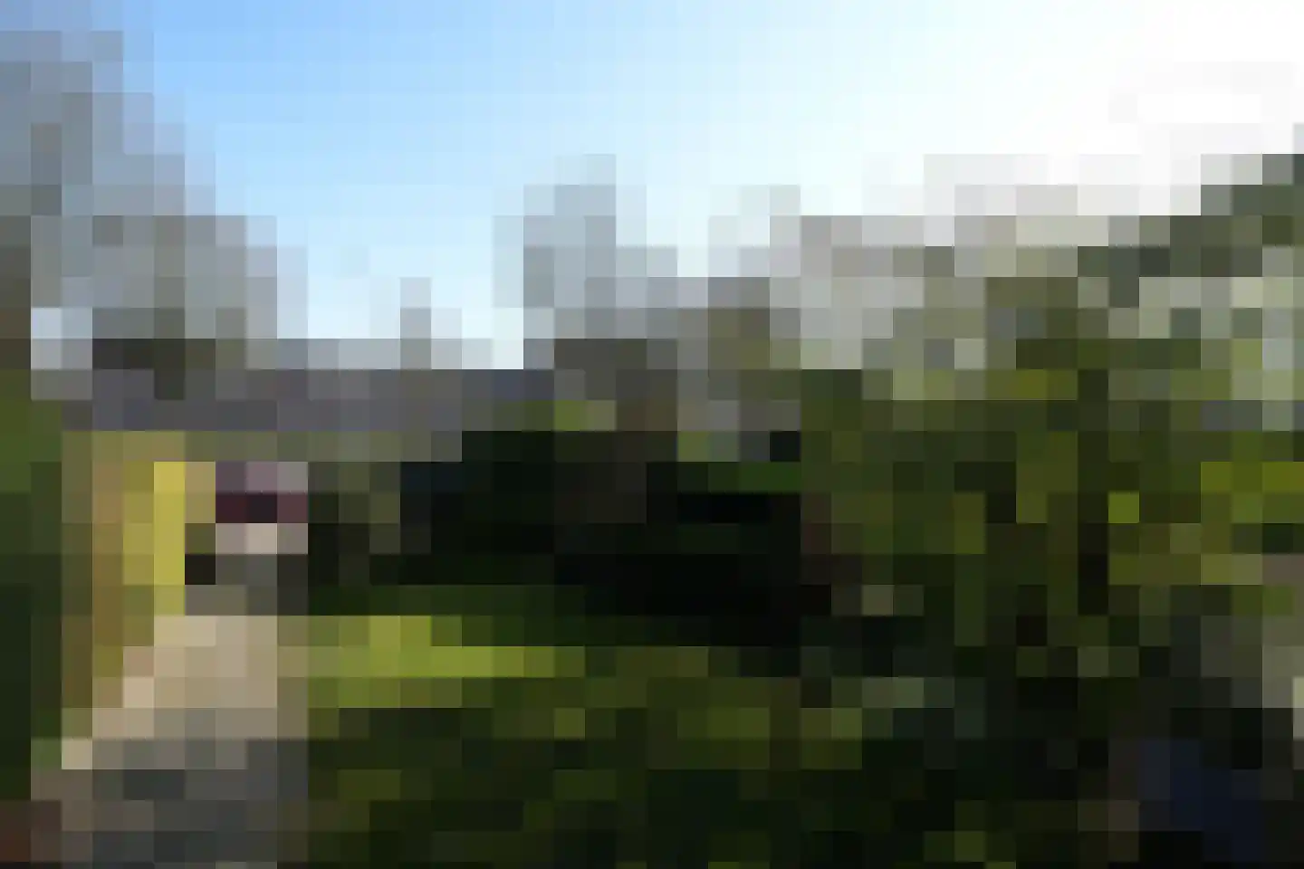 Groesbeekseweg 194 Nijmegen thumbnail 36