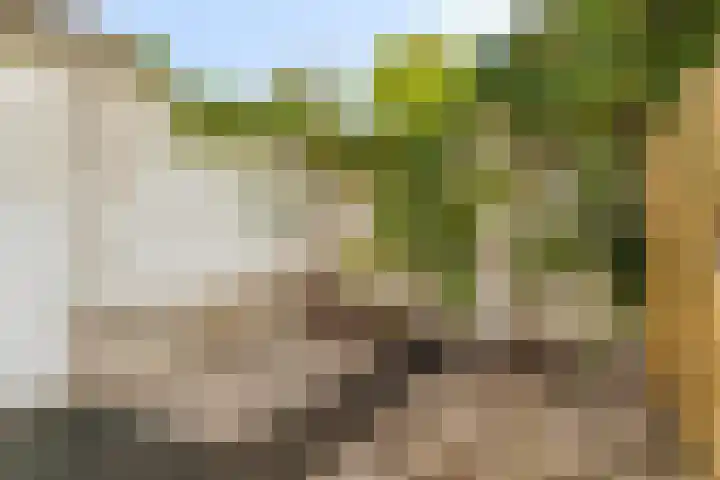Groesbeekseweg 21 A Nijmegen thumbnail 20