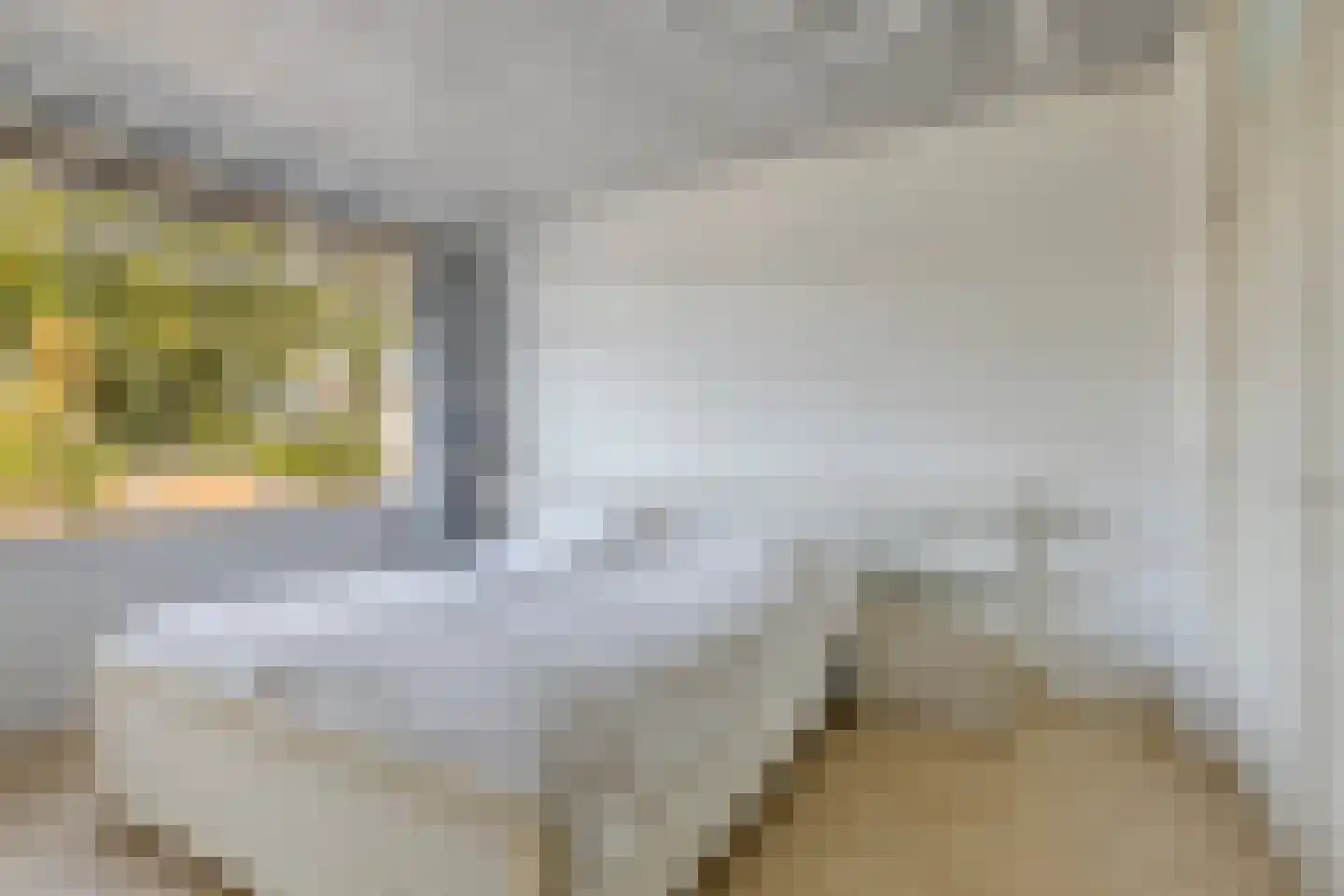 Groesbeekseweg 21 Malden thumbnail 15