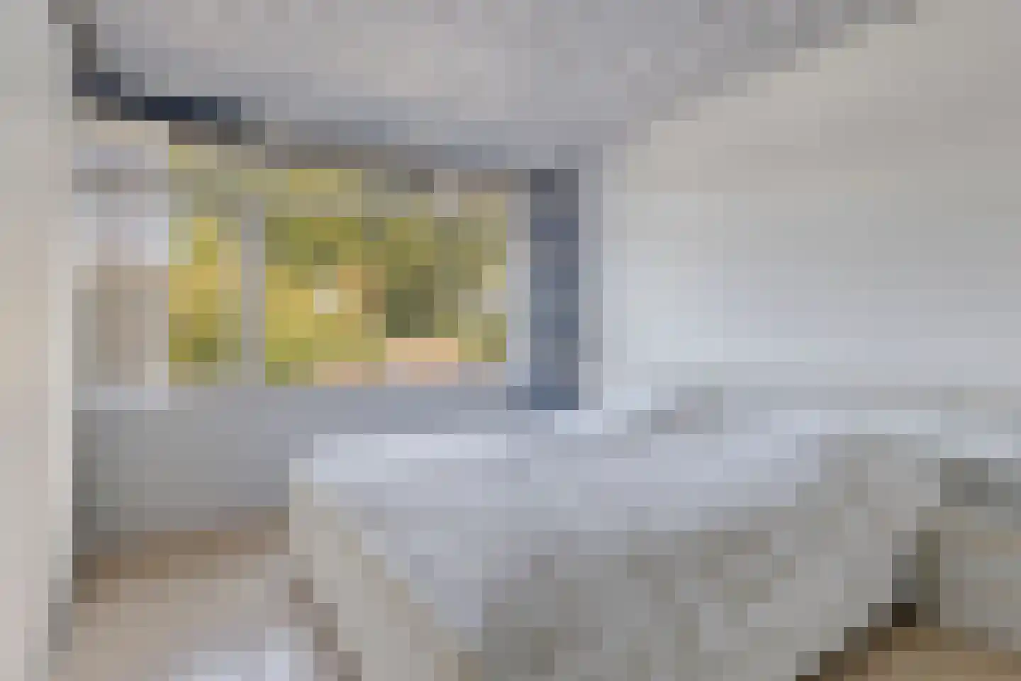 Groesbeekseweg 21 Malden thumbnail 16
