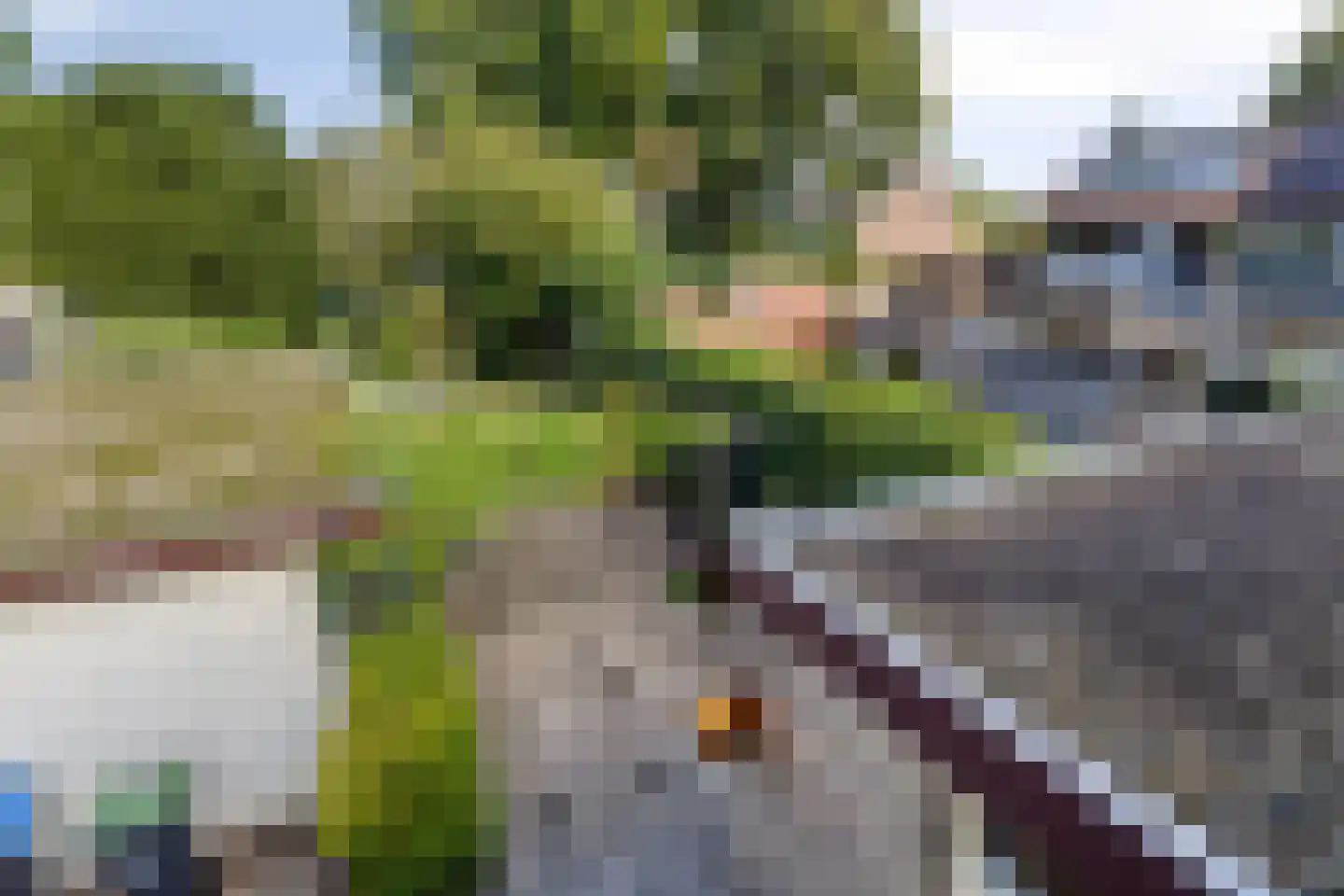 Groesbeekseweg 21 Malden thumbnail 21