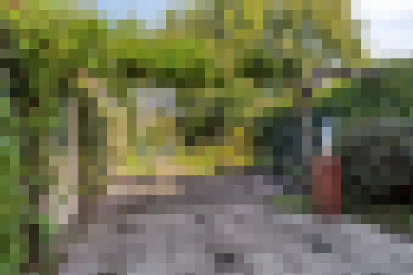 Groesbeekseweg 21 Malden thumbnail 29