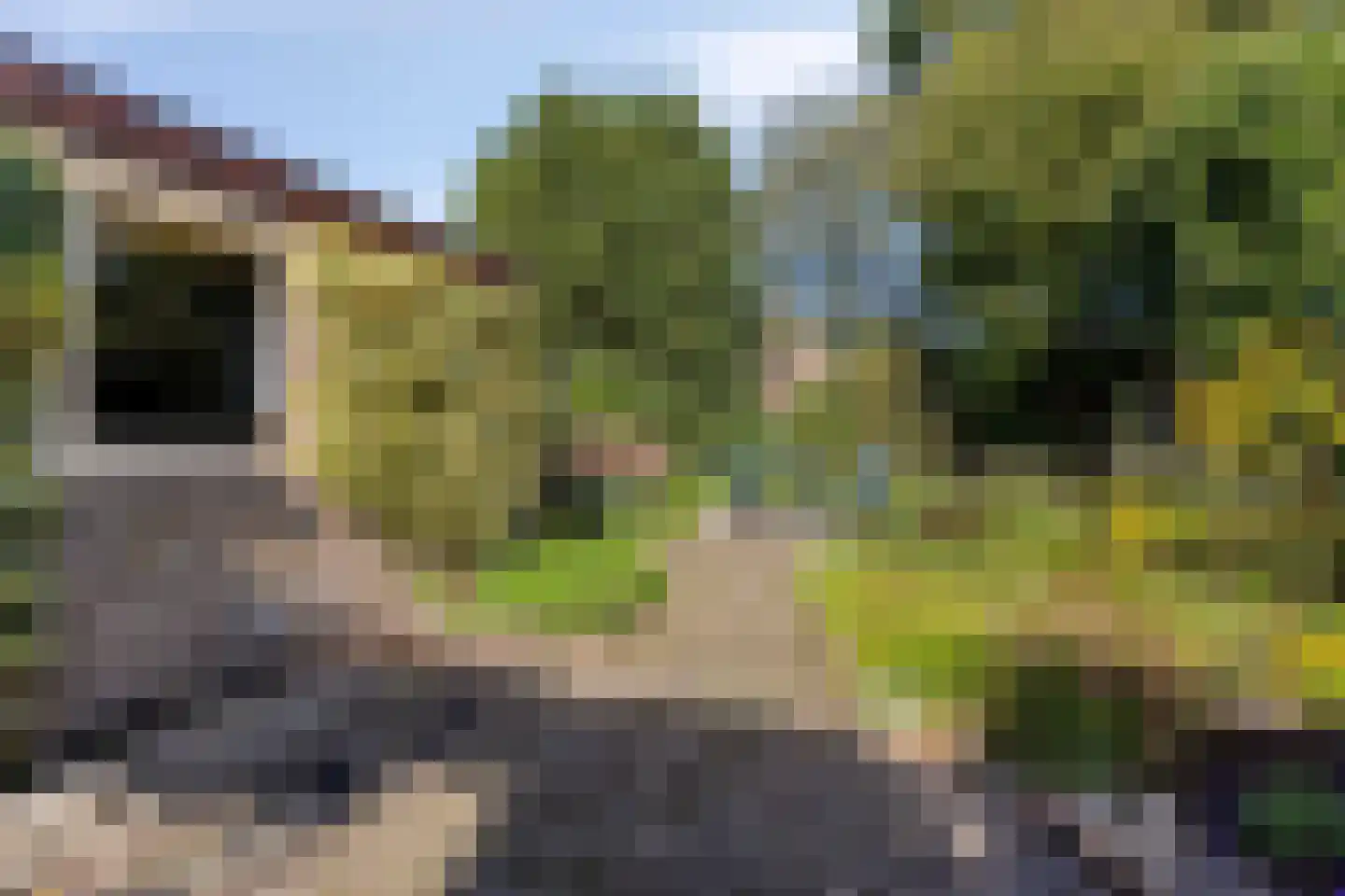 Groesbeekseweg 21 Malden thumbnail 30