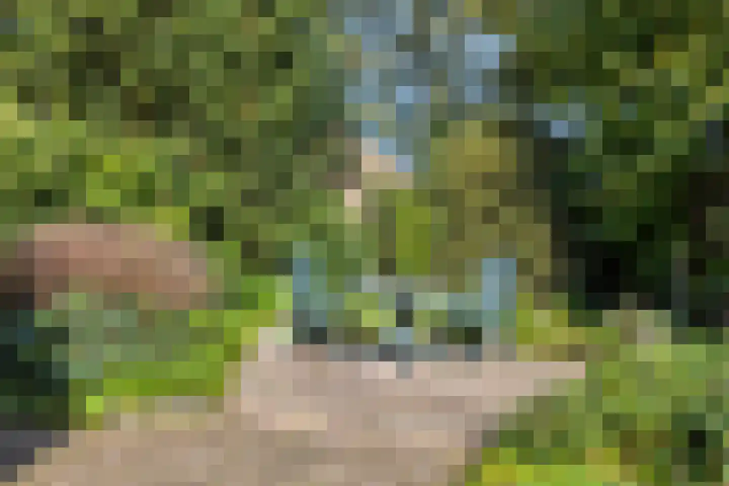 Groesbeekseweg 21 Malden thumbnail 31