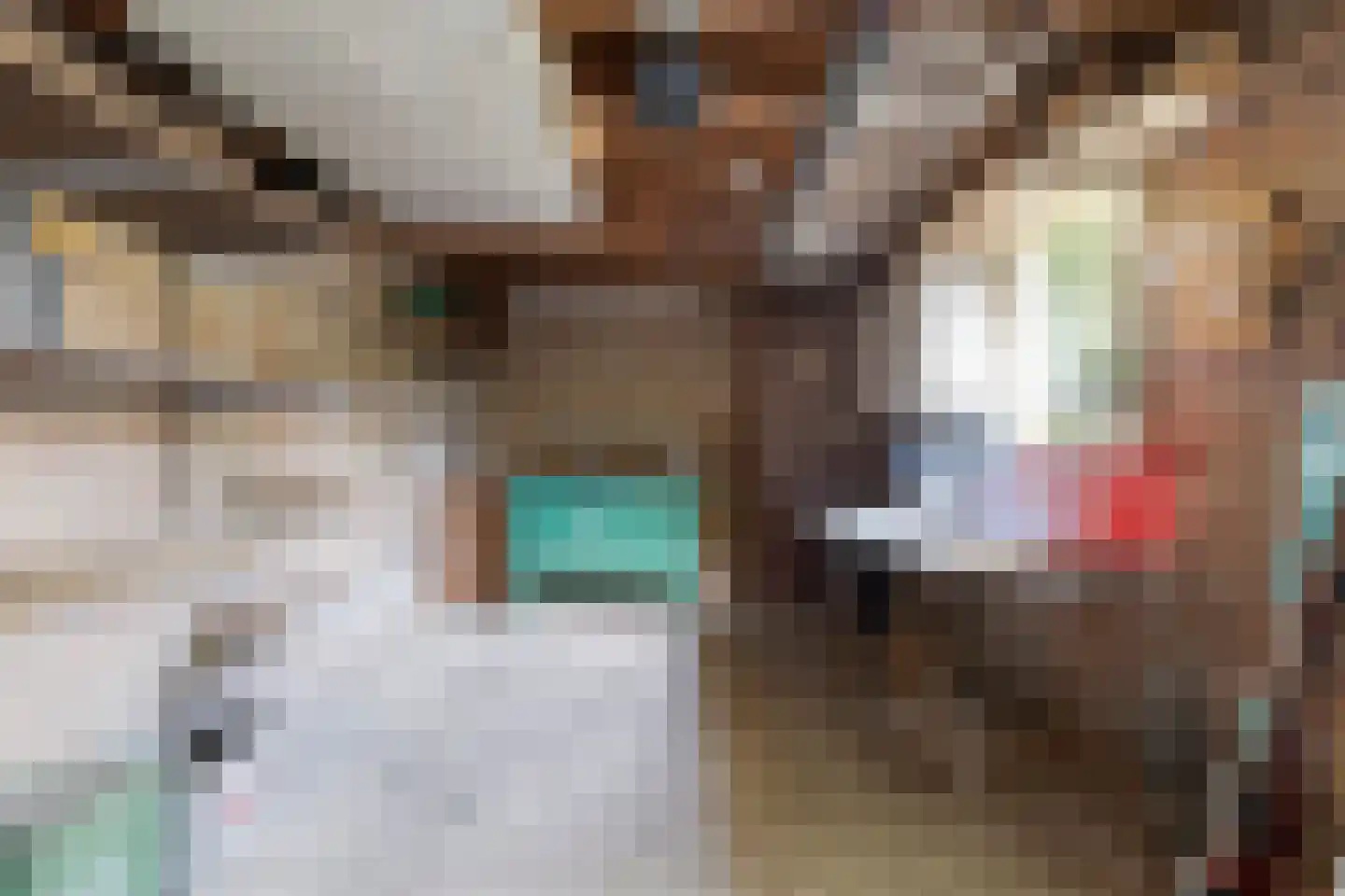 Groesbeekseweg 21 Malden thumbnail 33