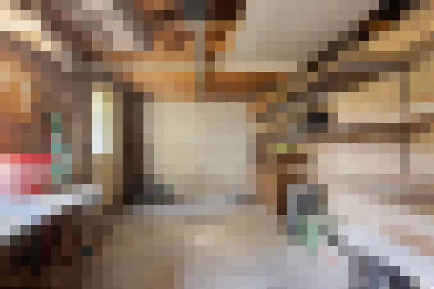 Groesbeekseweg 21 Malden thumbnail 34