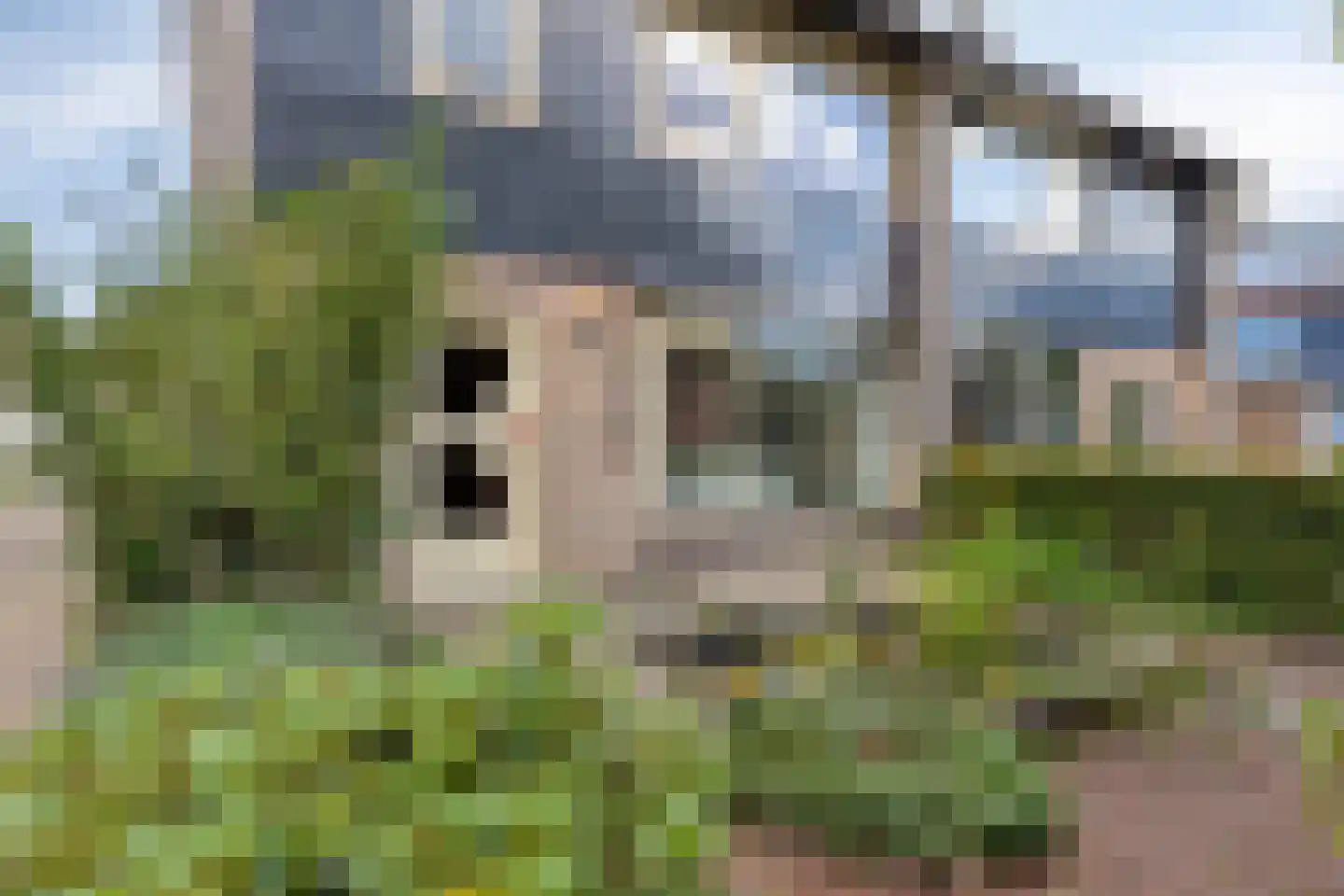 Groesbeekseweg 21 Malden thumbnail 37