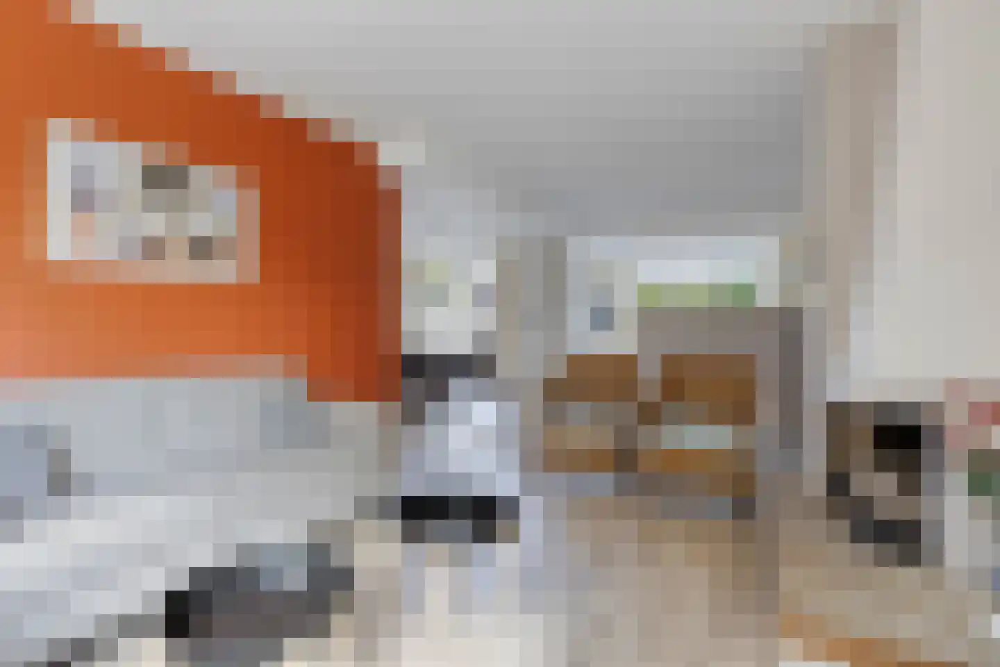Groesbeekseweg 21 Malden thumbnail 4