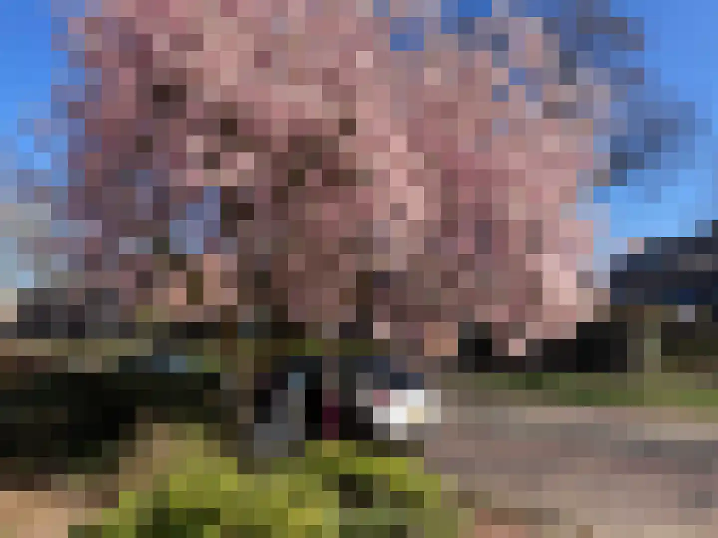 Groesbeekseweg 21 Malden thumbnail 41