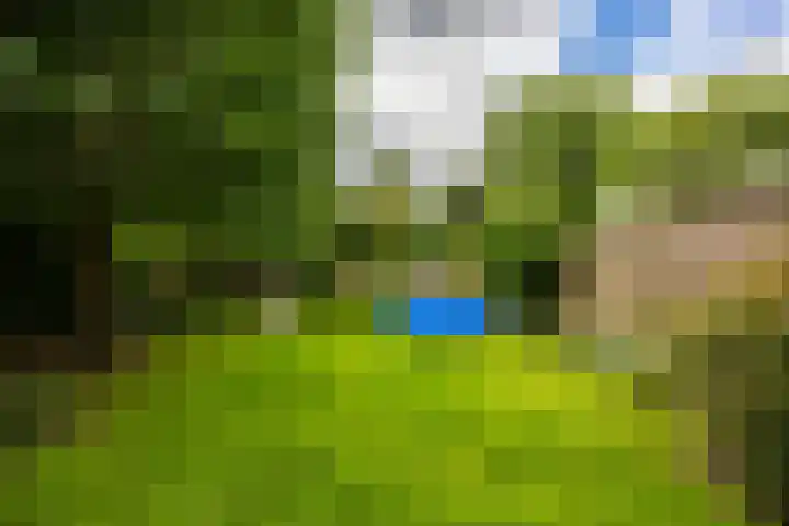 Groesbeekseweg 216 Nijmegen thumbnail 11