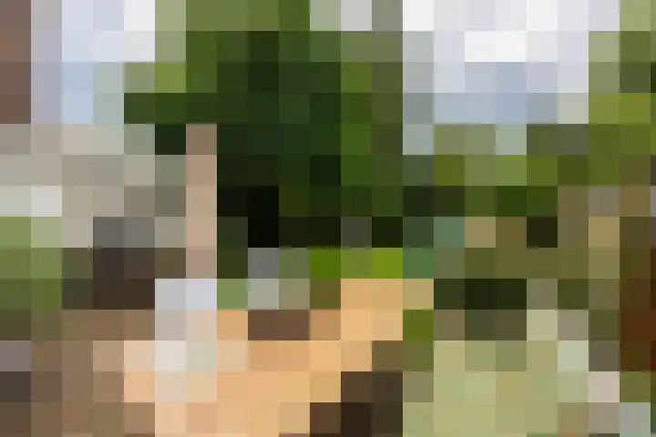 Groesbeekseweg 216 Nijmegen thumbnail 12