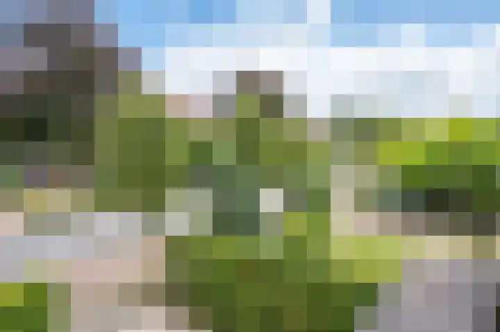 Groesbeekseweg 216 Nijmegen thumbnail 32