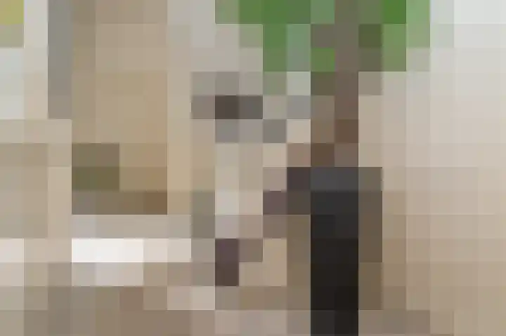 Groesbeekseweg 216 Nijmegen thumbnail 5