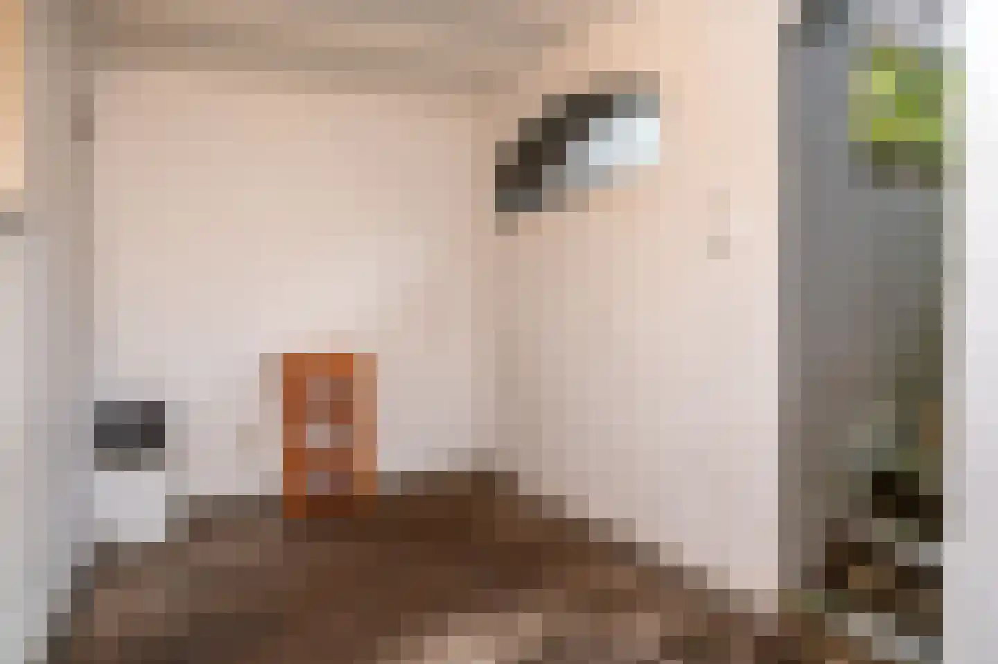 Groesbeekseweg 22 Nijmegen thumbnail 43